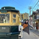 촌놈스튜디오 | 합천 가볼만한곳_[합천 영상테마파크] 다녀온 솔직 후기/할인• 먹거리 정보 총정리