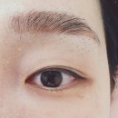 울산 속눈썹 연장 몰리뷰티 정착한 후기