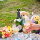 피크닉짐 | [망원] 술도란 / 망원한강공원 돗자리 피크닉 세트 추천