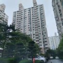 신나무실약국 이미지