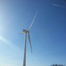 파랑새모텔 이미지