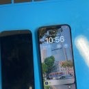 폰지유 안성점 이미지