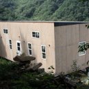 취산 Daum카페