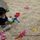 위플레이 태권도장 이미지