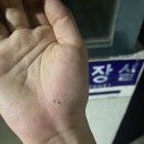 단비주유소 이미지