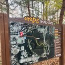 경희대선호태권도 | 아람산/매미산 등산 코스돌고 경희대 벚꽃 구경하고 사전투표하고 온 후기 (개화정보, 홈플런 장보기...