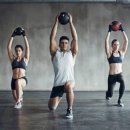 바디리셋 이미지