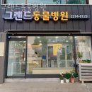 그랜드동물병원 | 동대문구 답십리동 동물병원 그랜드동물병원 위치 오는길 후기
