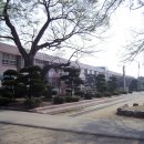 남평초등학교 이미지