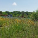 고운뜰길 이미지