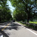 우종회관민박 이미지