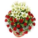 일성인포상가 이미지