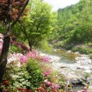 별빛하늘 펜션 이미지