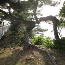 여객선터미널앞 이미지