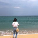 박*일 이미지