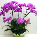 한주아파트경로당 이미지