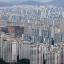 분당-162 이미지