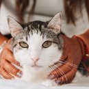 바로동물병원 이미지