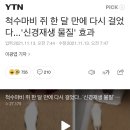 척수마비 쥐 한 달 만에 다시 걸었다...'신경재생 물질' 효과 이미지