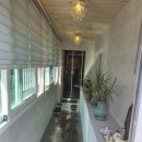 하단중학교 이미지