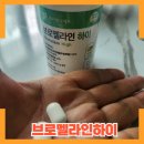 웰리벨라이프 | 붓기제거 약 속이 더부룩하거나 아침에 붓는다면 웰리벨라이프 브로멜라인하이 파인애플효소 추천