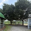 대경목장 이미지