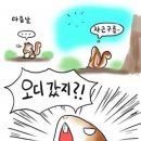 다람쥐신발 이미지