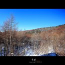 청태산목장 이미지