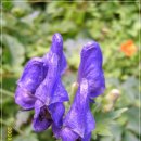 하늘정원1 이미지