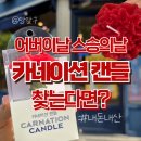 어버이날, 스승의날 카네이션 초와 토퍼를 찾는다면?