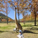 발리담 풀빌라 이미지