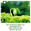 나그네실비 Daum카페