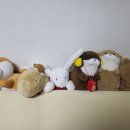 뽑기초보샵 이미지