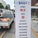 충주 회 포장 활어장수 후기