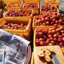 낙원농장 이미지