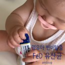 새나라약국 | [닥터아돌] 신생아 영유아 베이비 철분 비타민D 함유 FeD 유산균 효과적인 변비 탈출 후기