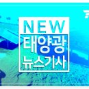 수성태양광 이미지
