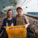 백두산업
