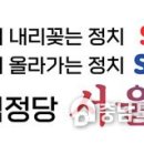 서울당 이미지