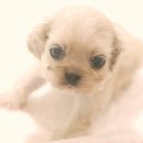 은평-050 이미지