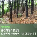 춘천태동요양병원 이미지