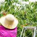 홍제원농장 이미지