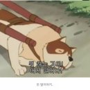 파트라슈 이미지