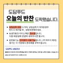 베스트푸드서비스(주)백산 | 대구 중구 월 반찬배달 새벽배송 - 도담푸드 맛있는 점심식사