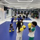 스웻바디라이프mma주짓수킥복싱 이미지