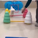 털로덮인친구들 수원시청역점 이미지