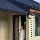 스테이더담 청도청라점 이미지