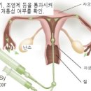 세종영상의학과의원 이미지