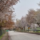 문산배수펌프장 이미지