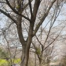 함라산둘레길 이미지